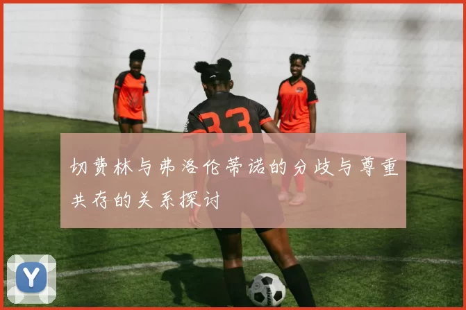 切费林与弗洛伦蒂诺的分歧与尊重共存的关系探讨
